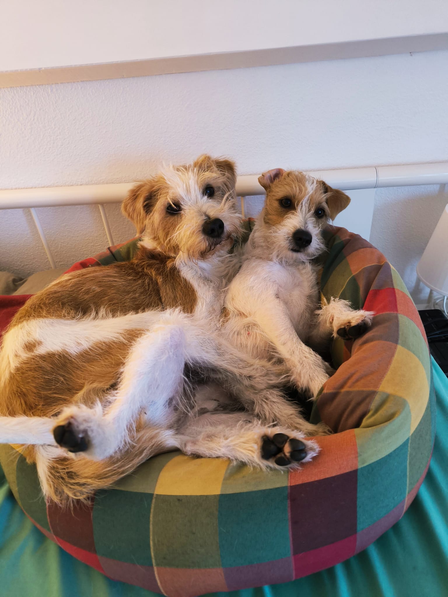 Lilla und Otti